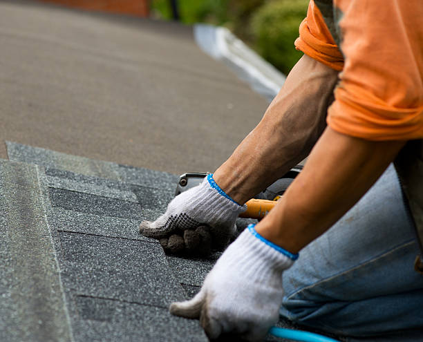 Best Roof Gutter Cleaning  in Charleston, MO
